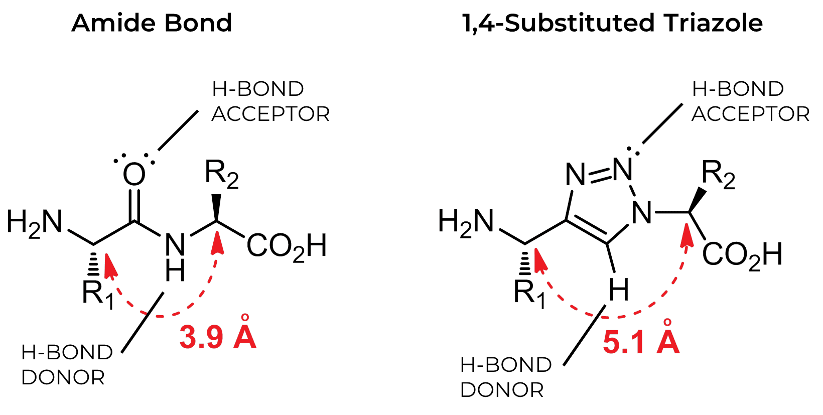 Amide-V-Triazole-v5-sm Amide and Triazole bond comparison