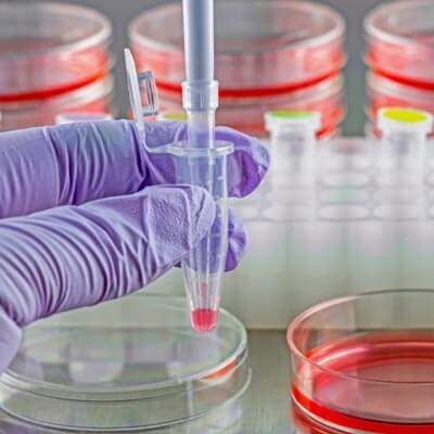 Peptides for Cancer Research