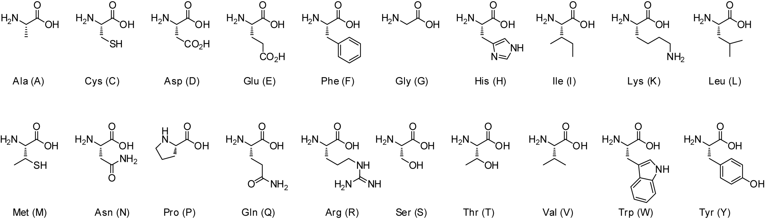 Amino acid chemical structures custom peptides
