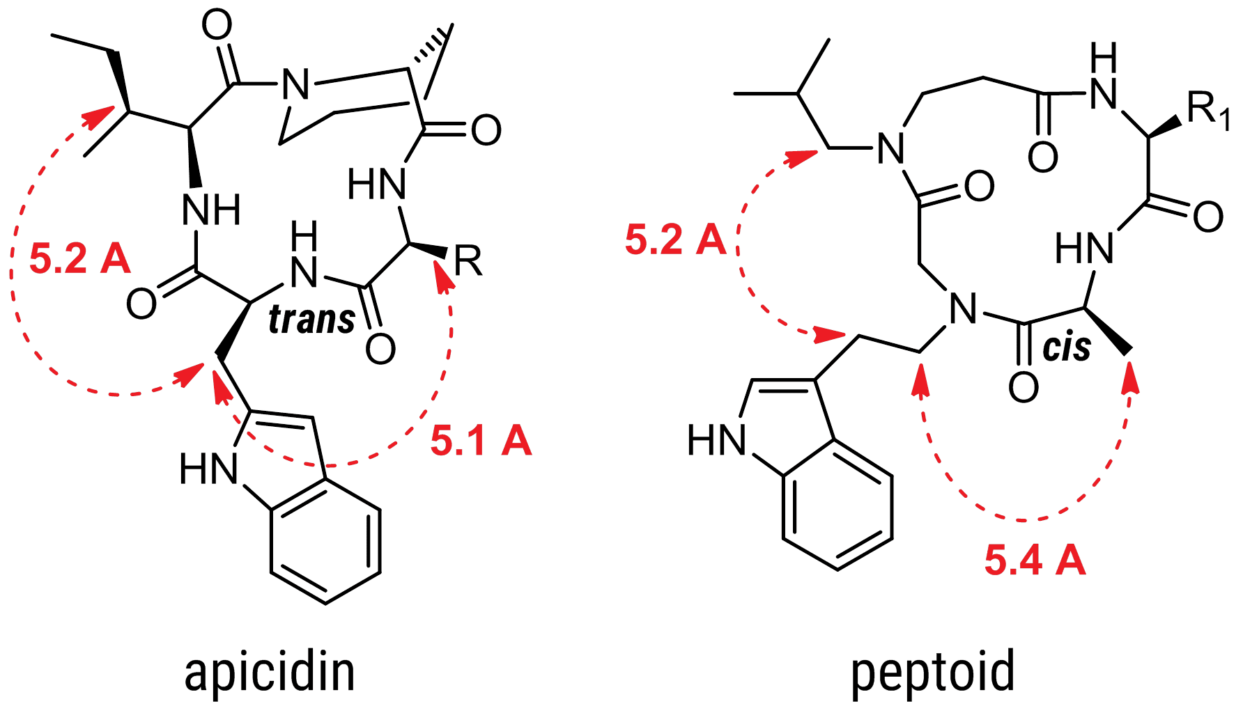 apicidin-peptoid-mimetics-v2-sm Peptoid-Apicidin molecule structures