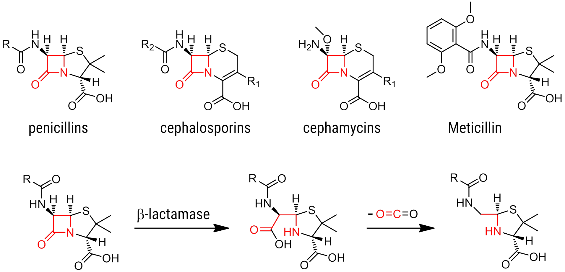 mechanism of non-peptide antibiotic resistance