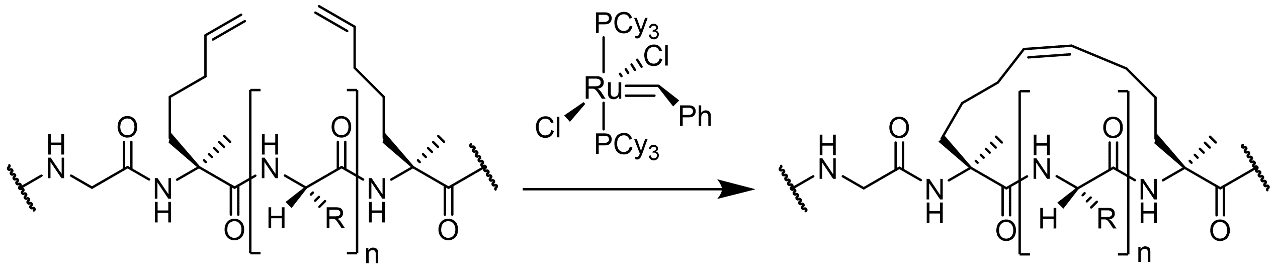 Custom Stapled Peptides by Grubbs Metathesis Custom Stapled Peptides by Grubbs Metathesis