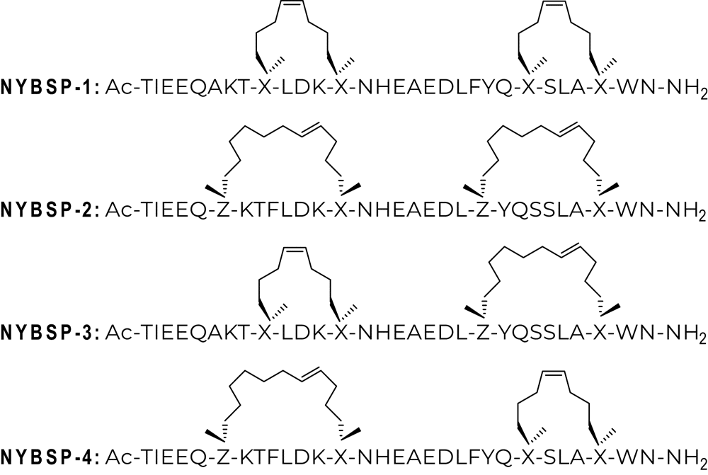Double stapled custom peptide motifs