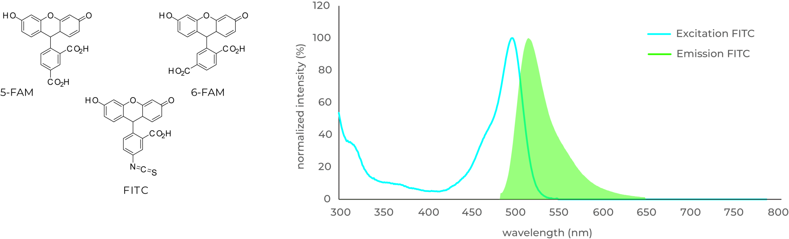 FAM-FITC graph emission and excitation peptide synthesis FAM-FITC graph emission and excitation peptide synthesis
