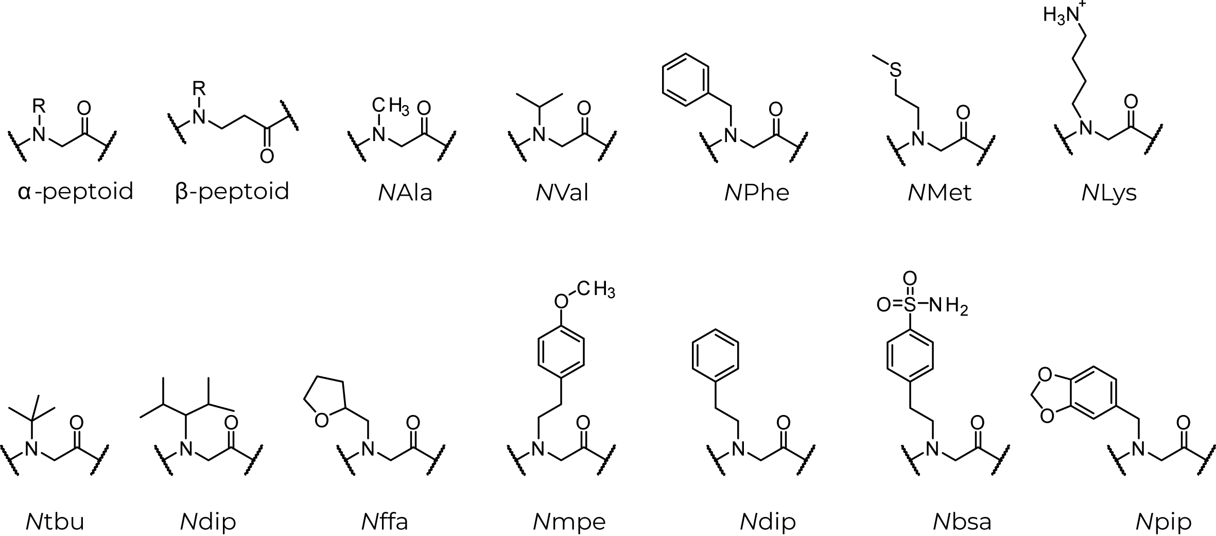 peptoid-amino-acids-sm peptoid building blocks amino acids