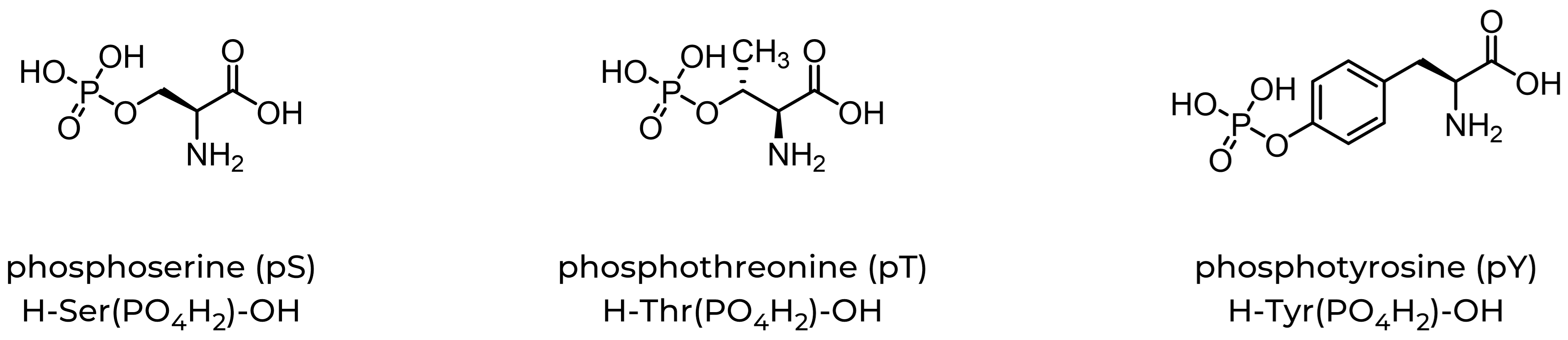 PO4-amino_acids_sm – Copy phosphorylated amino acids for custom peptide synthesis