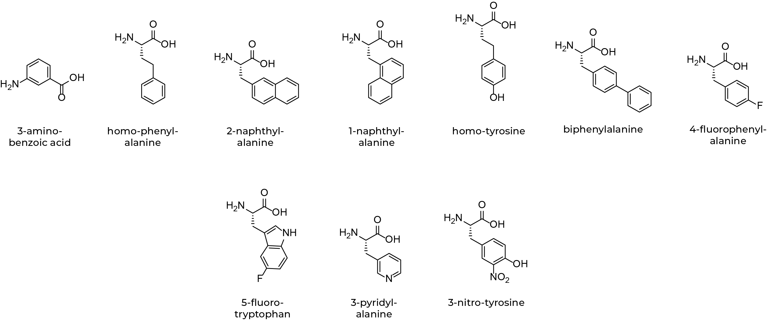 UN_aromatic_building_blocks2sm Unnatural Aromatic Amino Acids