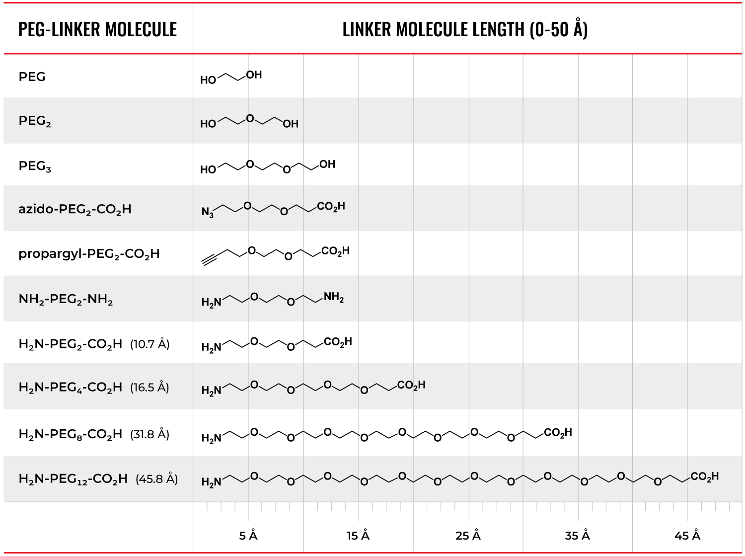 PEG-Linker-Distance_infographic_compressed_1500px PEG Linker length in peptide or oligo conjugates