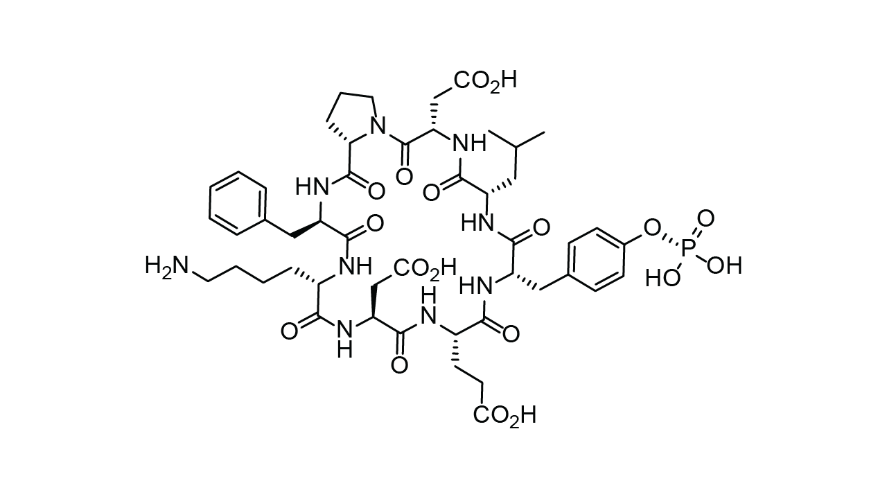 phosphorylated cyclized custom peptide