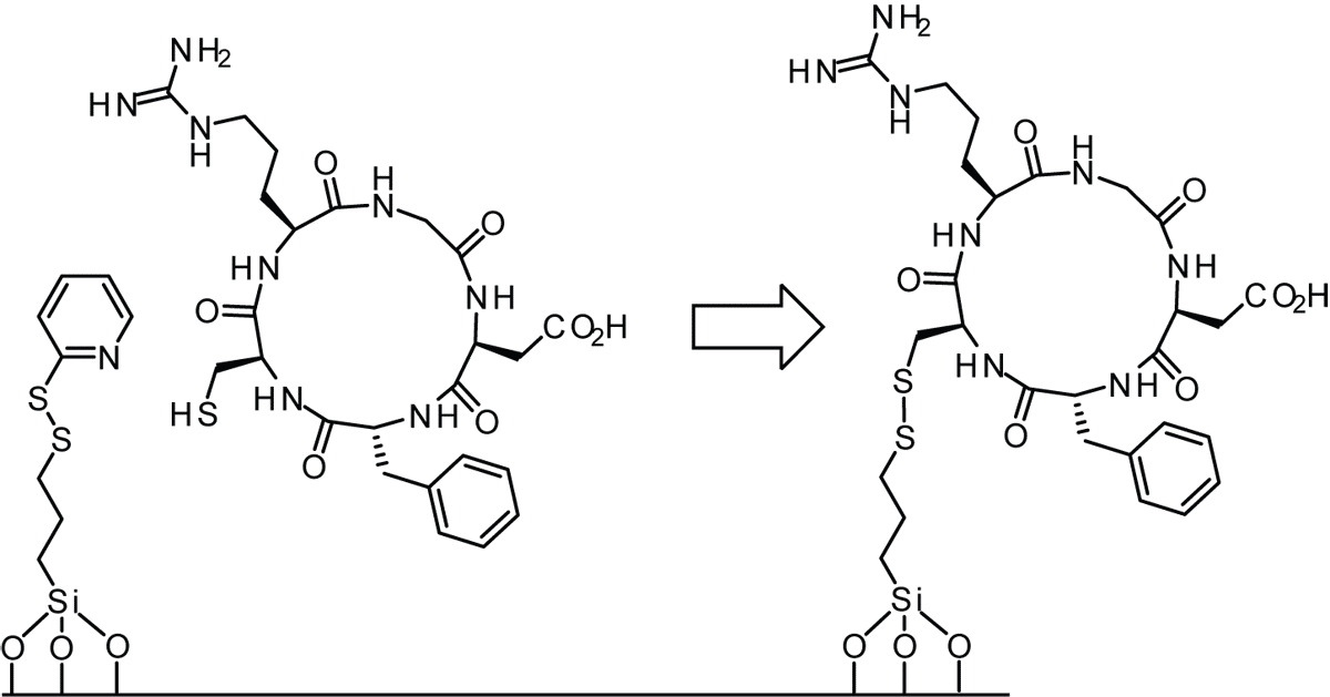 Nanoparticle RGD peptide-modified