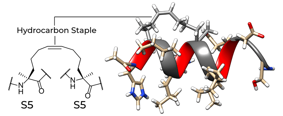 Stapled Peptide Diagram