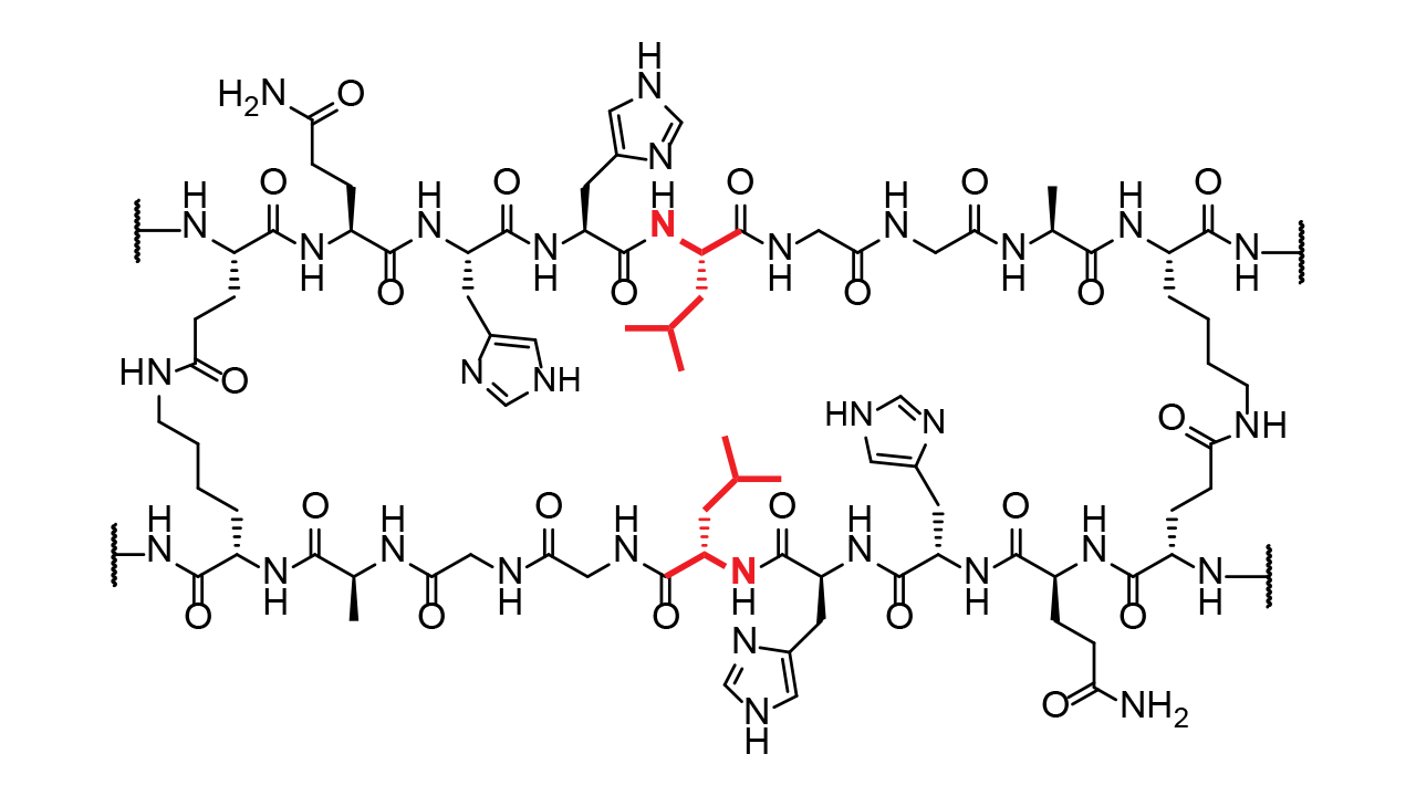 Isotope-Labeled Lactam Custom peptide