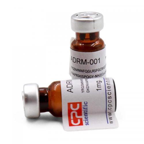 ADRM-001 Adrenomedullin (1-52), human