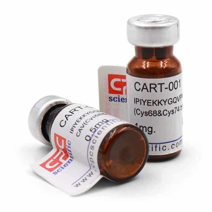 CART (55-76), rat