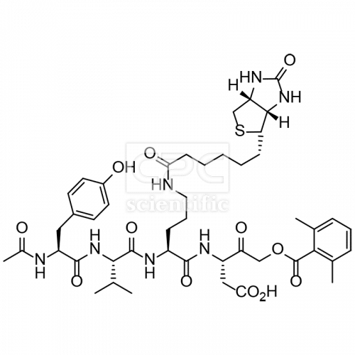 Ac-Tyr-Val-Lys(biotinyl)-Asp-2,6-dimethylbenzoyloxymethylketone