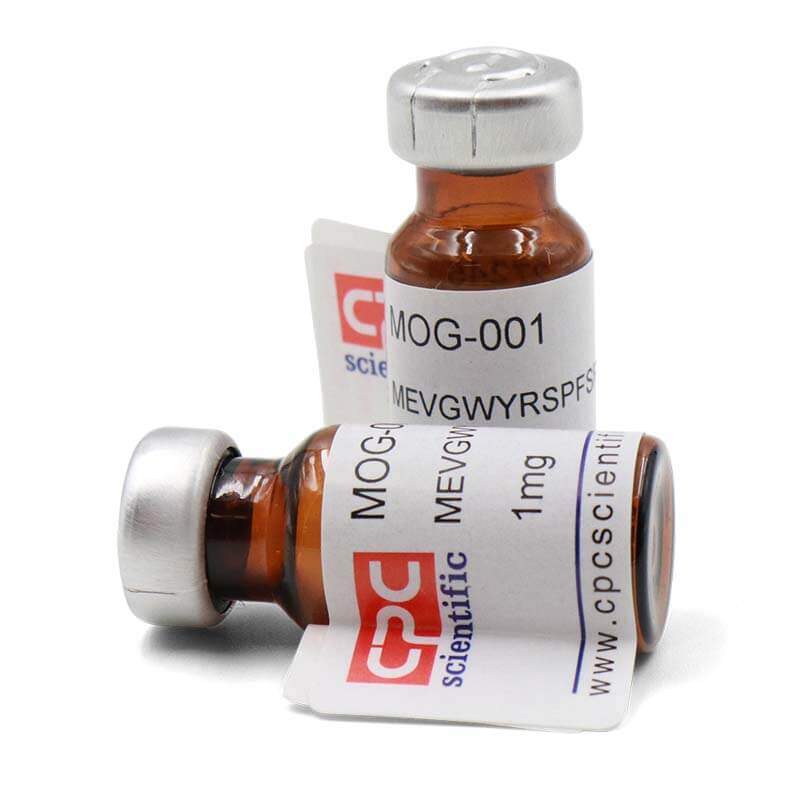 Myelin Oligodendrocyte Glycoprotein (MOG) 35-55 (mouse, rat)