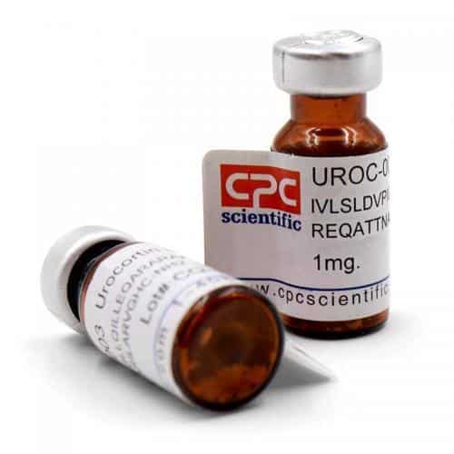Urocortin II, human