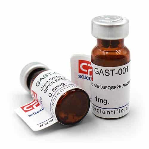 Big Gastrin 1, human