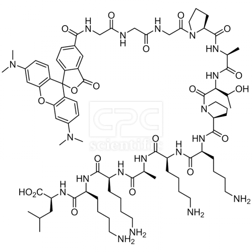 Histone H1-derived peptide, TAMRA labeled