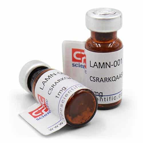 Laminin A Chain (2091-2108)