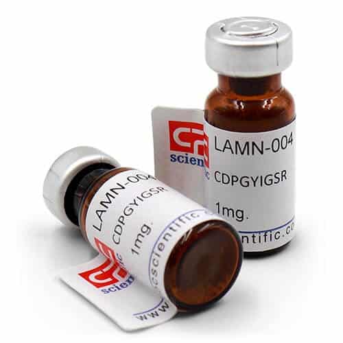 Laminin (925-933)