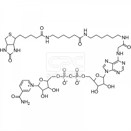 6-biotin-17-nicotinamide-adenine-dinucleotide