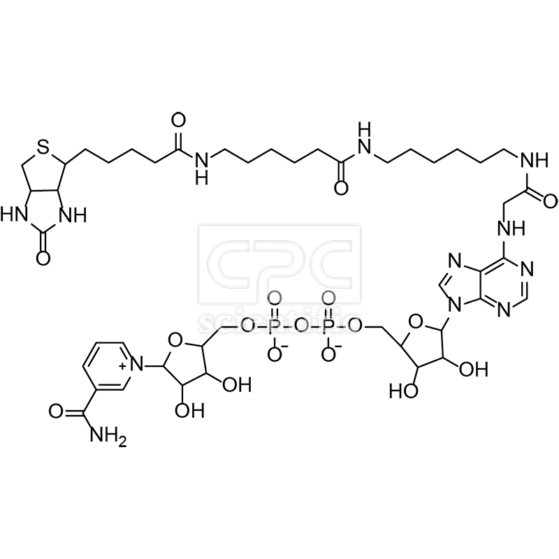 6-biotin-17-nicotinamide-adenine-dinucleotide