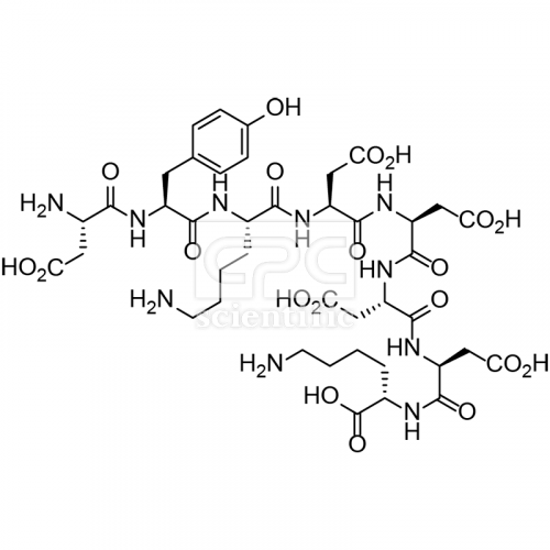 Flag Peptide