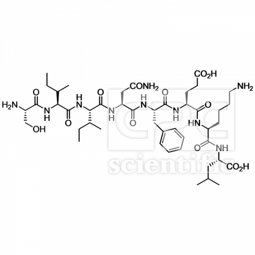 Ovalbumin-derived peptide (257-264)