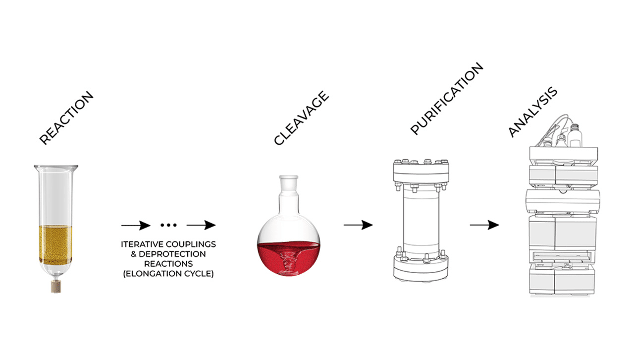 Why solid phase peptide synthesis