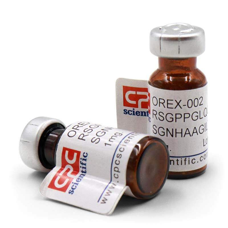 Orexin B, human