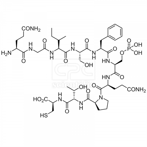 [pS345]-Chk1