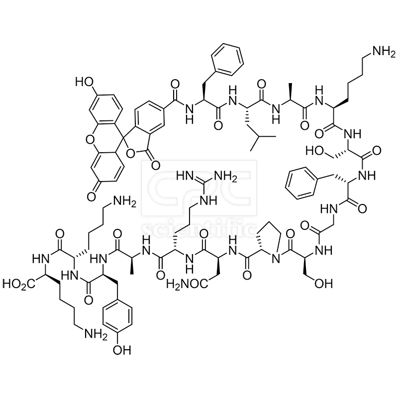 CDK7tide derived peptide, FAM-labeled