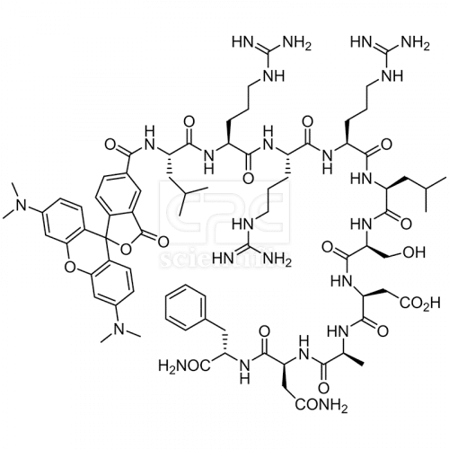 Synapsin I-derived peptide, TAMRA-labeled
