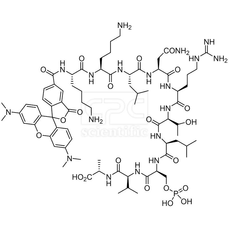 5TAMRA-KKLNRTL-Ser(PO3H2)-VA