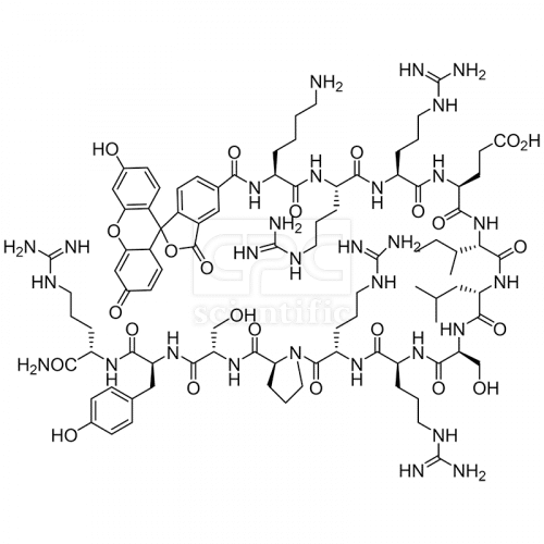 5FAM-KRREILSRRPSYR-NH2