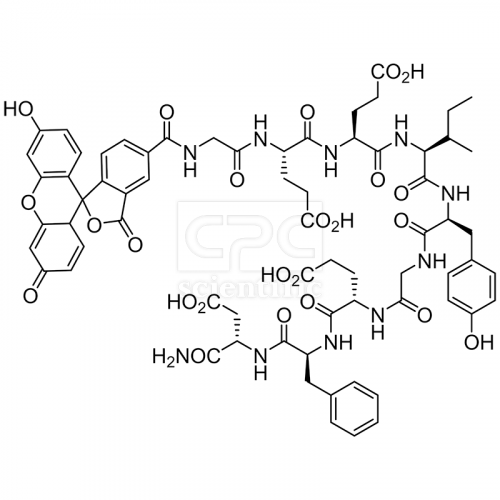 5FAM-GEEIYGEFD-NH2