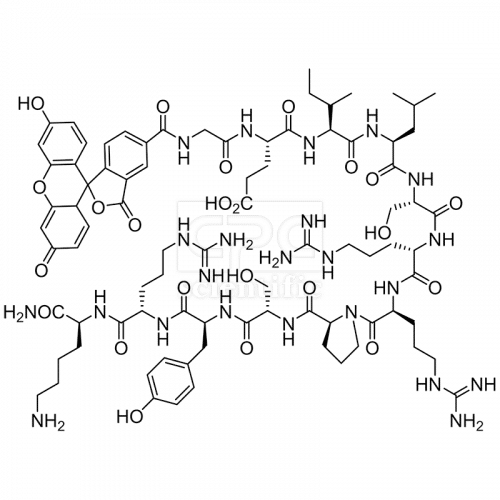 5FAM-GEILSRRPSYRK-NH2