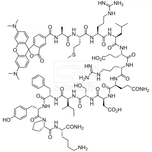 5TAMRA-AMRLERQDSIFYPK-NH2