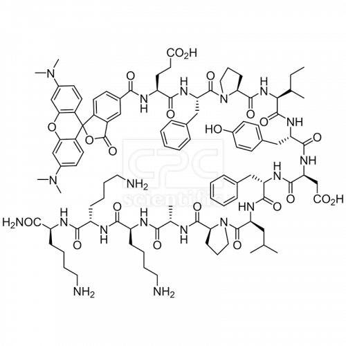 5TAMRA-EFPIYDFLPAKKK-NH2