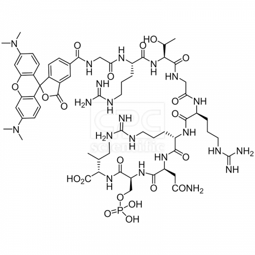 5TAMRA-GRTGRRN-Ser(PO3H2)-I