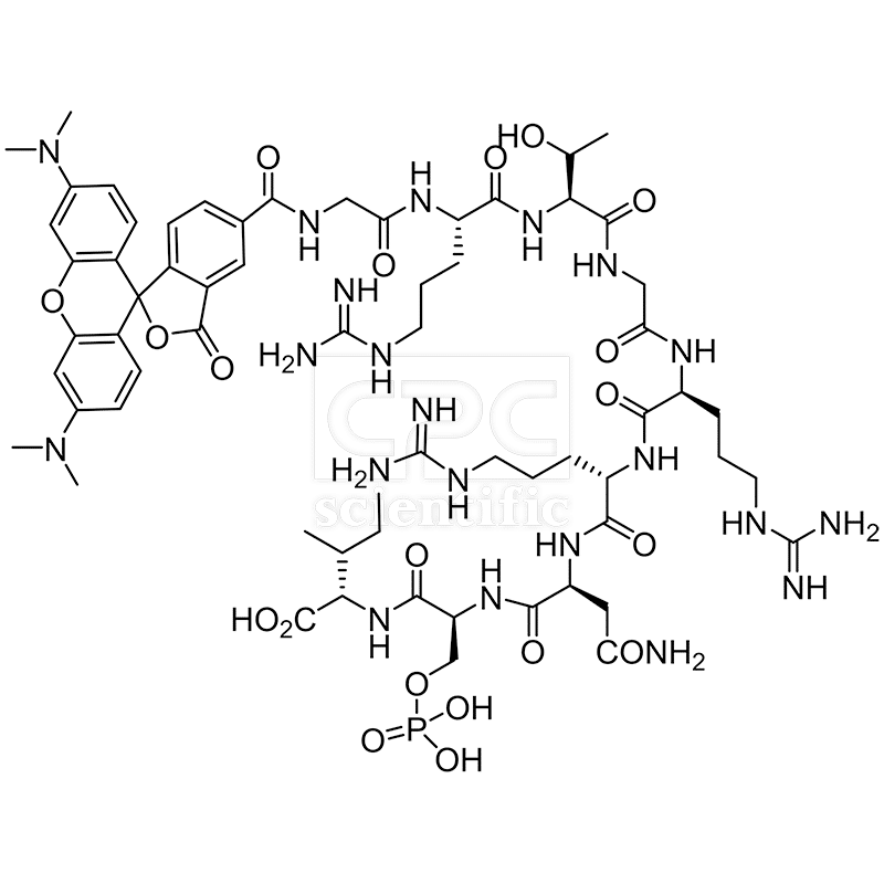 5TAMRA-GRTGRRN-Ser(PO3H2)-I