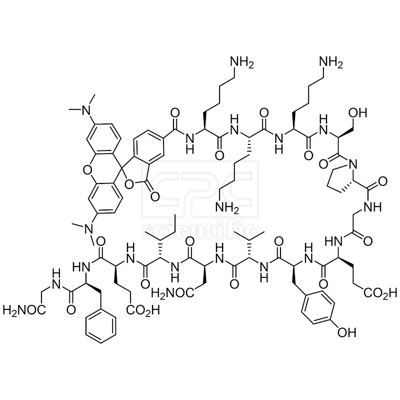 5TAMRA-KKKSPGEYVNIEFG-NH2