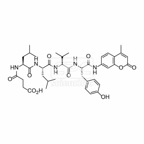 Chymotrypsin Substrate III, Fluorogenic