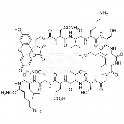 5FAM-NVKSKIGSTENLK-NH2