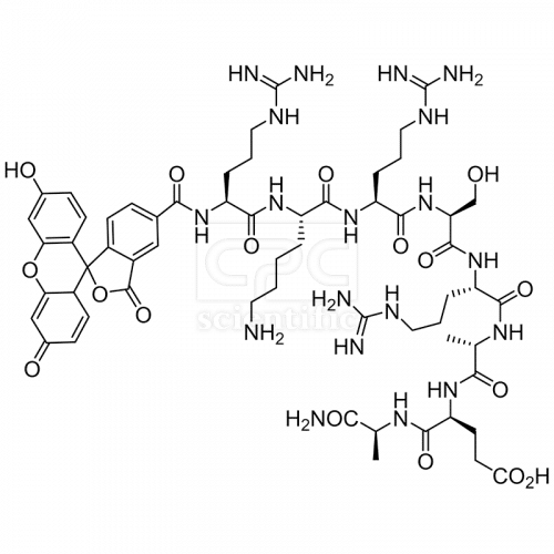 5FAM-RKRSRAEA-NH2