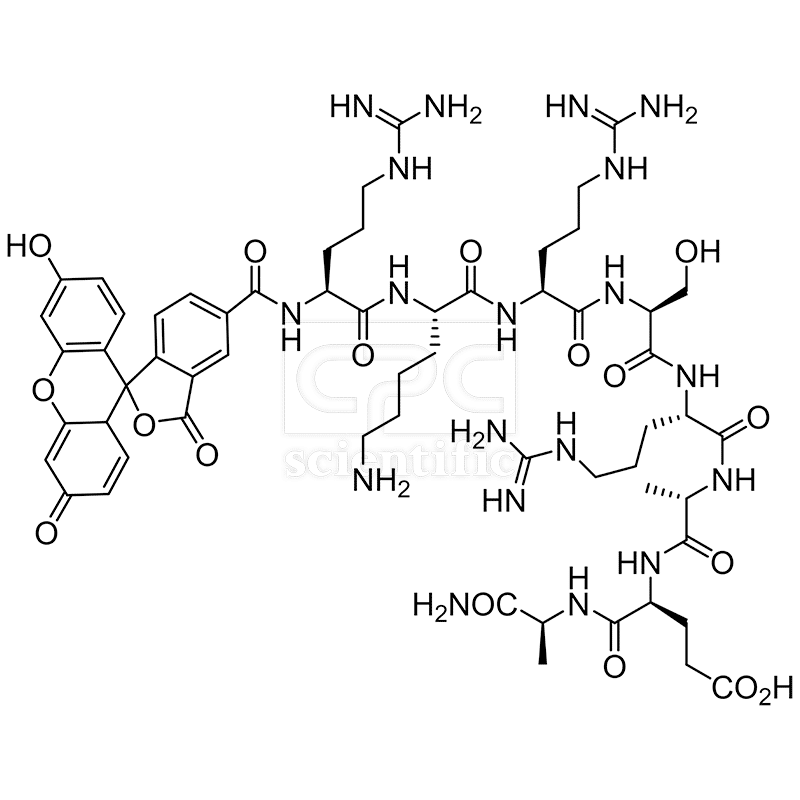 5FAM-RKRSRAEA-NH2