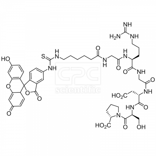 Prototype of RGD-containing peptide, FITC-labeled