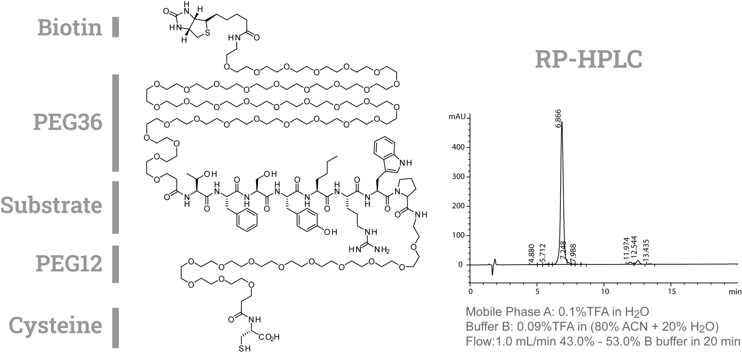 Custom PEGylated peptides PEG36