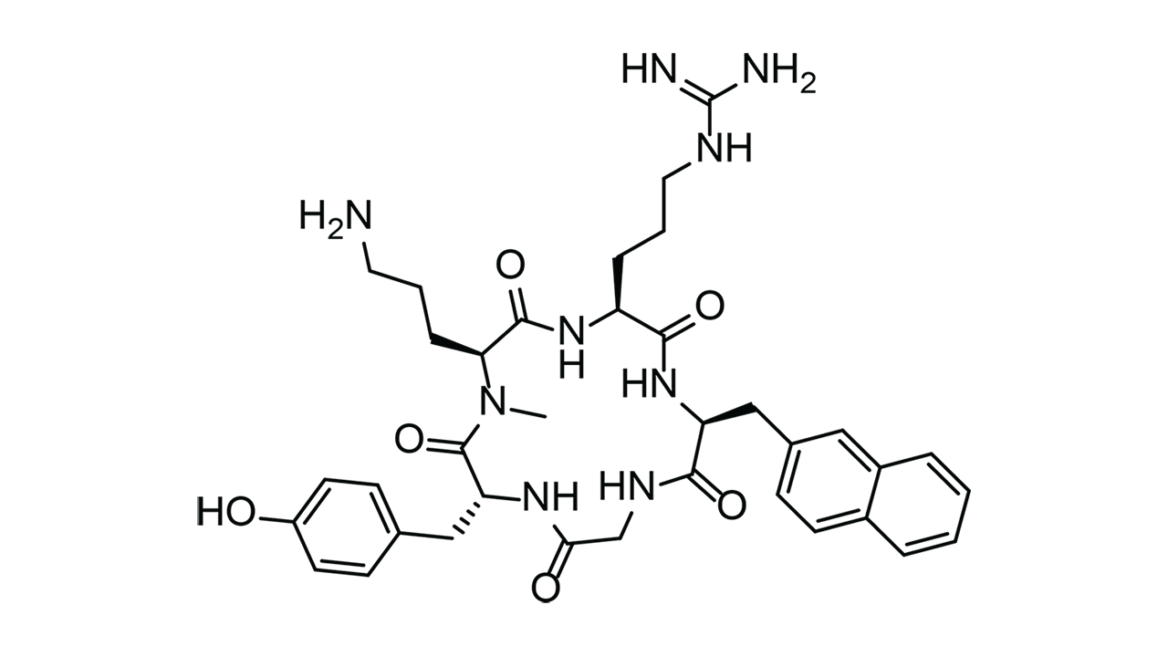 peptide macrocycle lactam unnatual amino acids